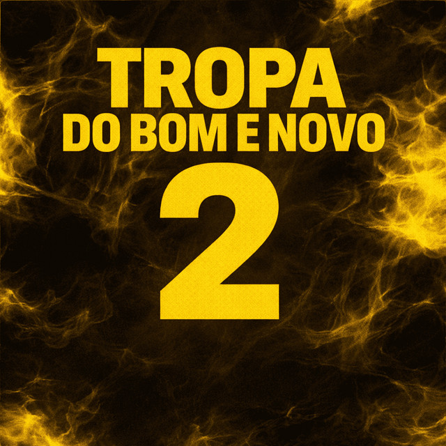 TROPA DO BOM E NOVO 2