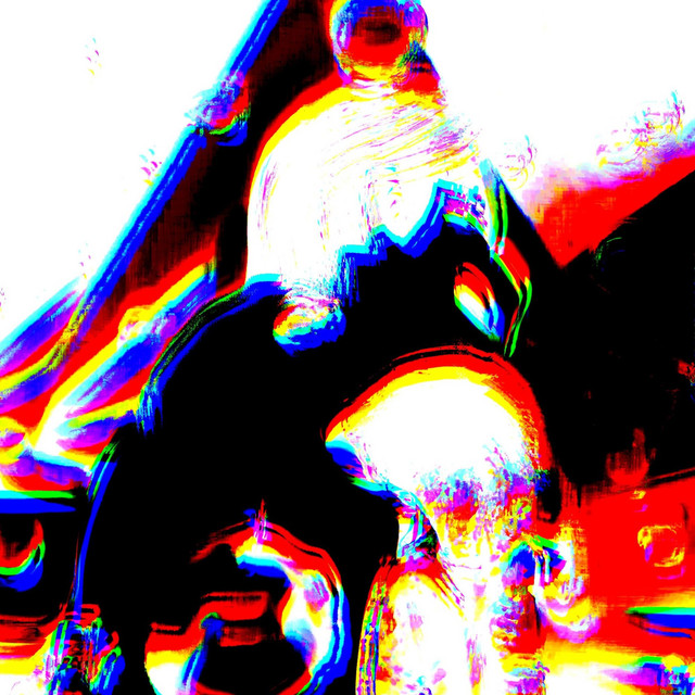bloom cover art