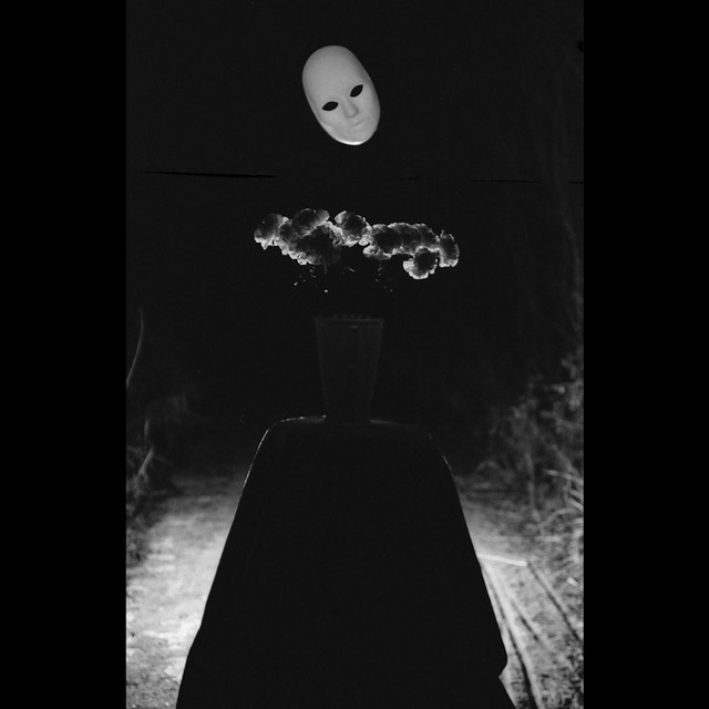 Icon Alive cover art