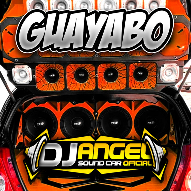 Guayabo - Car Audio