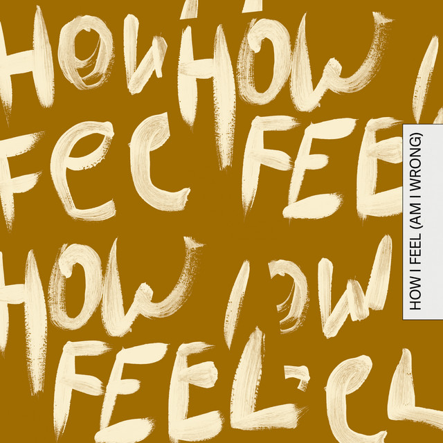 How I Feel (Am I Wrong)