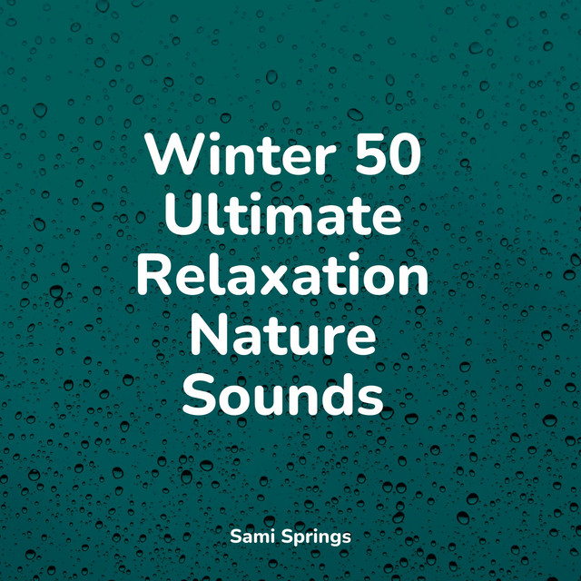 Winter 50 Ultimate Relaxation Nature Sounds - Album by Bath Spa ...