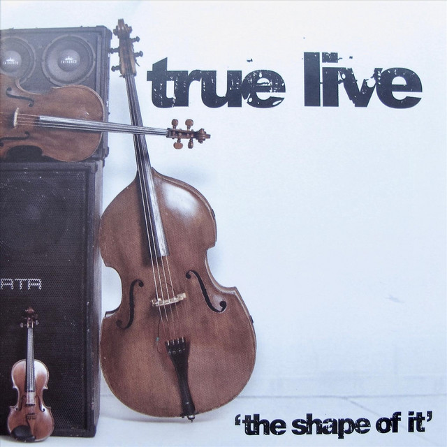 The Shape of It cover art