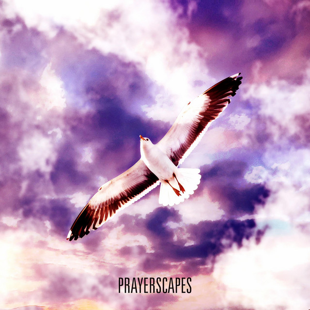 Fly cover