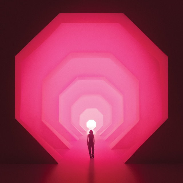 Amnioverse cover art