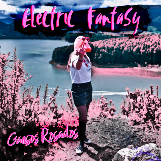 Gansos Rosados cover