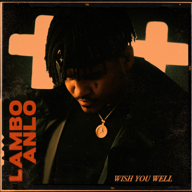 Wish You Well cover art