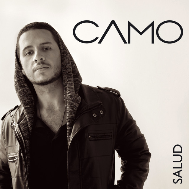 Salud artwork