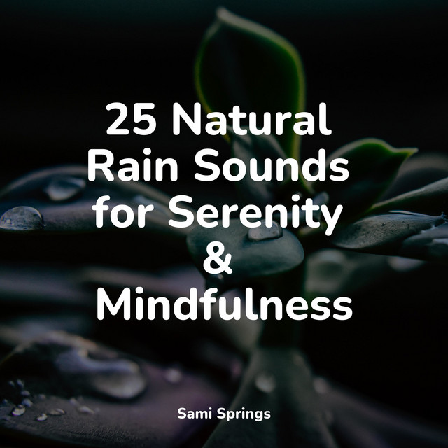 25 Natural Rain Sounds for Serenity & Mindfulness - Album by Deep Sleep ...