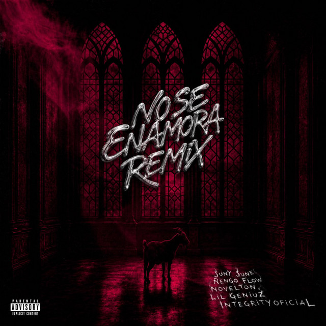 No Se Enamora (Remix) album image