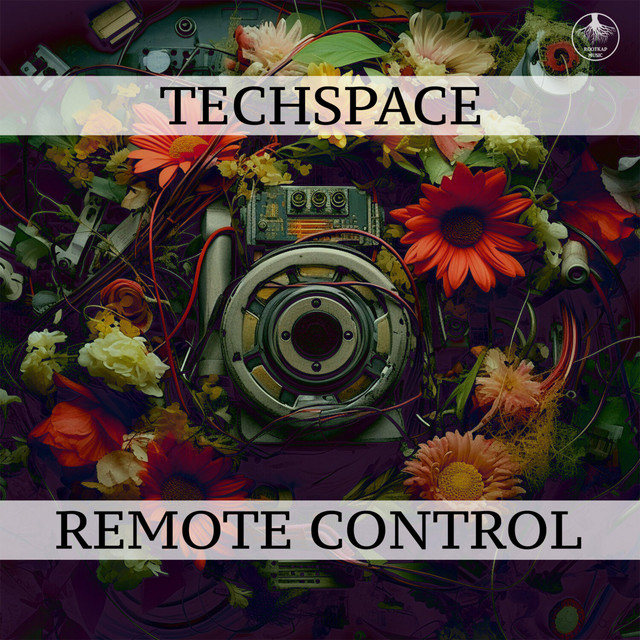 Remote Control cover art
