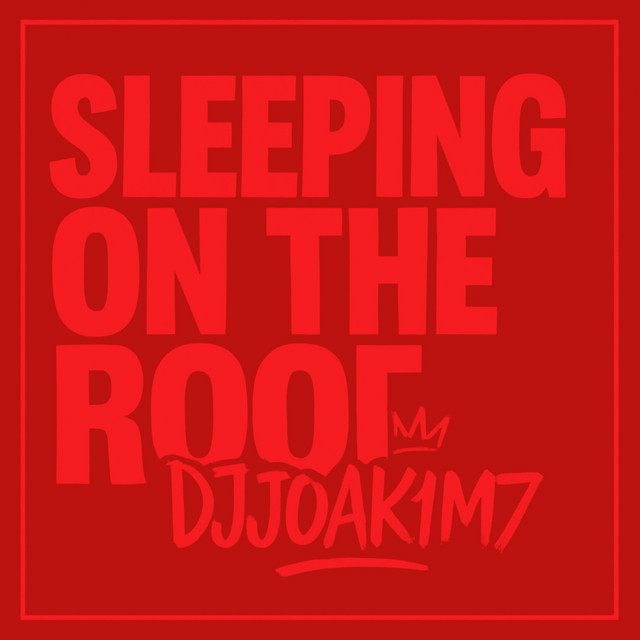 Sleeping On The Roof
