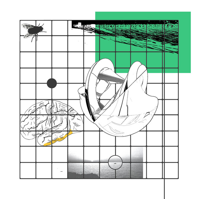 No Brain Media Boundaries cover art