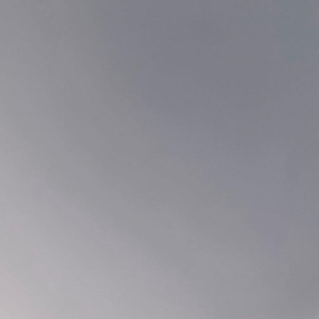 grey cover art