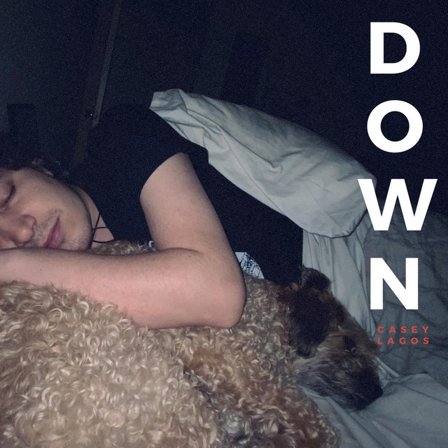 Down cover art