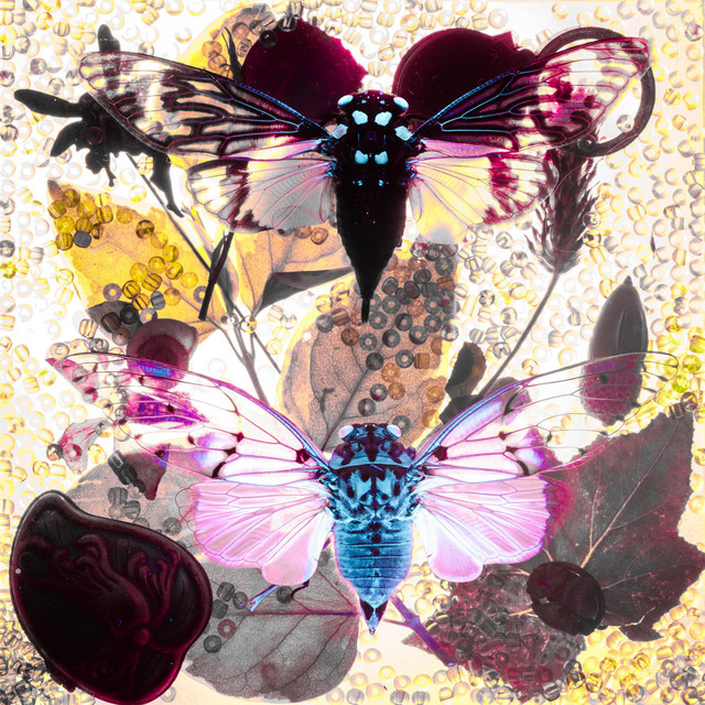 White Cicada by LAIKA