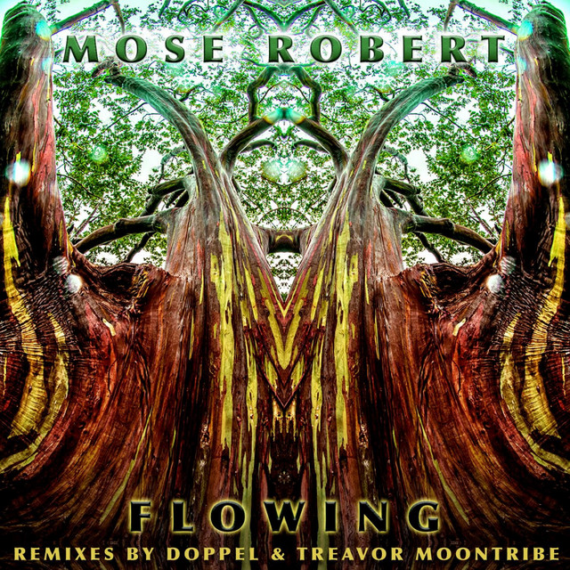 Flowing cover art