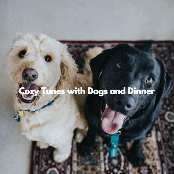 Música para Perros Play List