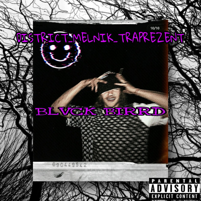 DISTRICT MELNIK TRAPREZENT cover art