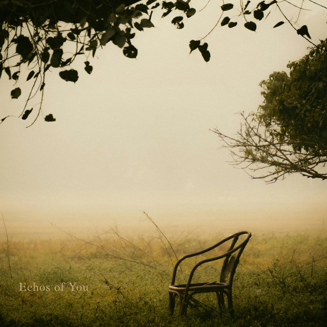 Echoes of You