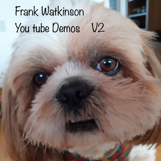 You tube demos V2 cover art