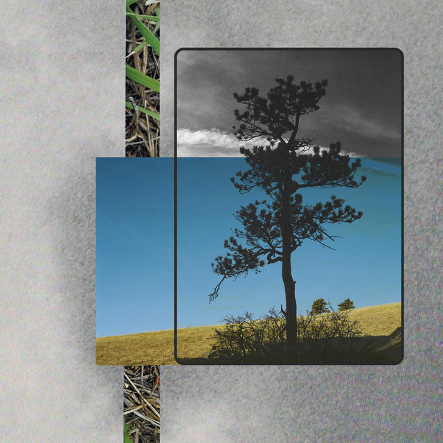 Renewal cover art