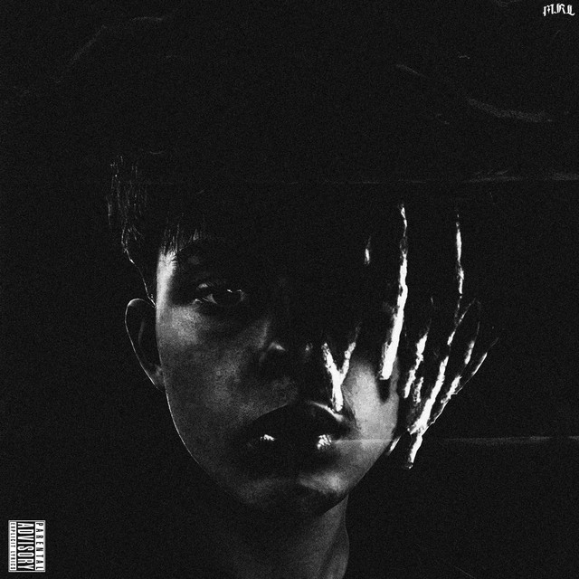 TRANSYLWANIA cover art