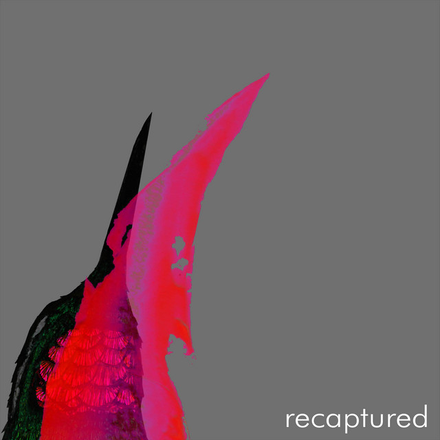 recaptured cover art
