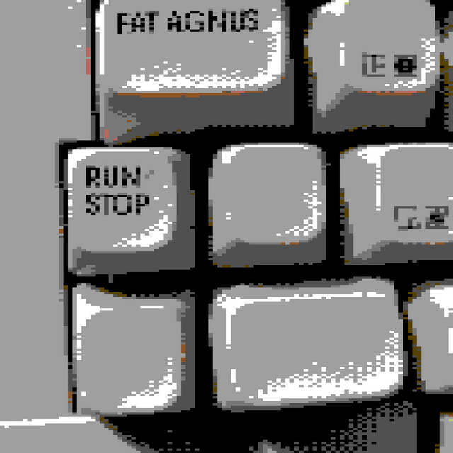 RUN/STOP cover