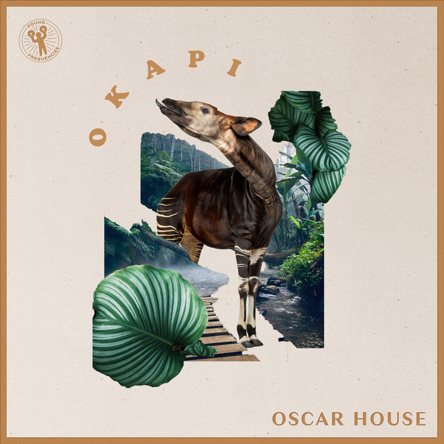 Okapi - Extended Mix album art