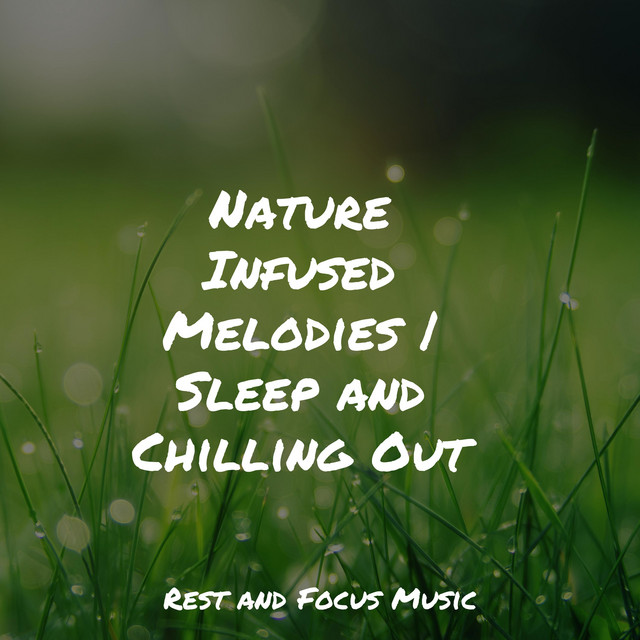 Nature Infused Melodies | Sleep and Chilling Out - Album by Spa ...