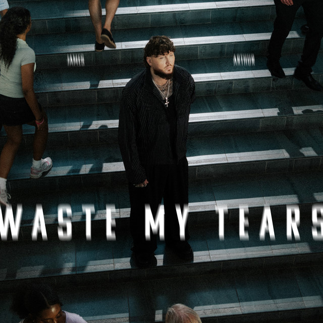 Pochette de Waste My Tears