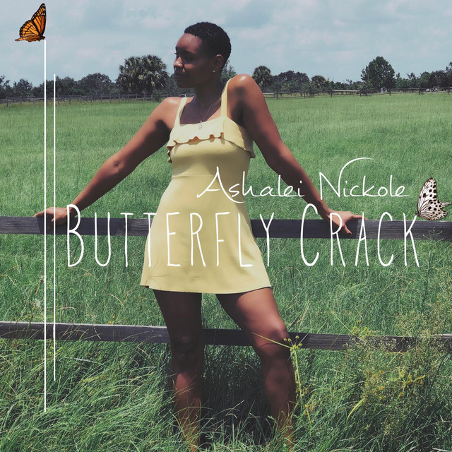 Butterfly Crack - Single by Ashalei Nickole | Spotify