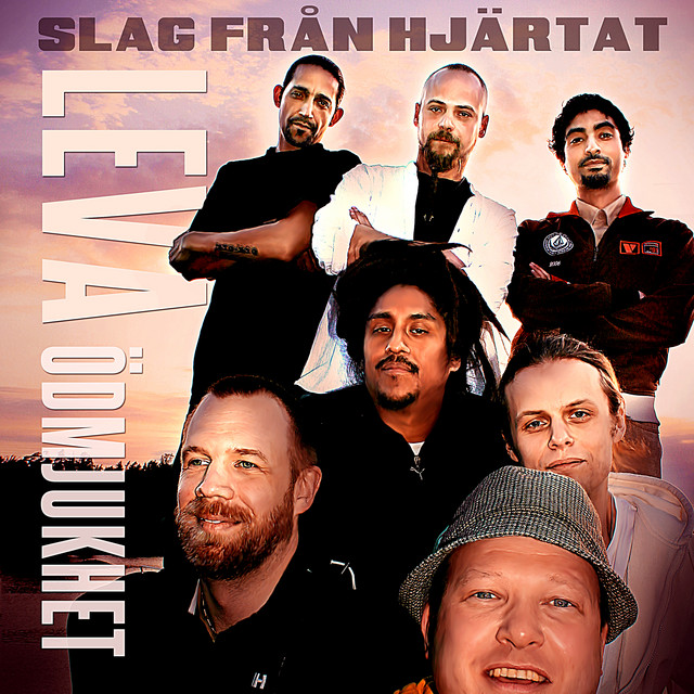 Leva/Ödmjukhet cover