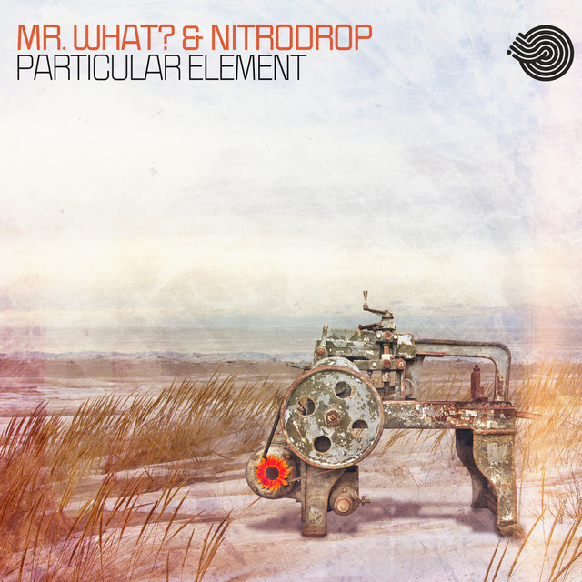 Particular Element cover
