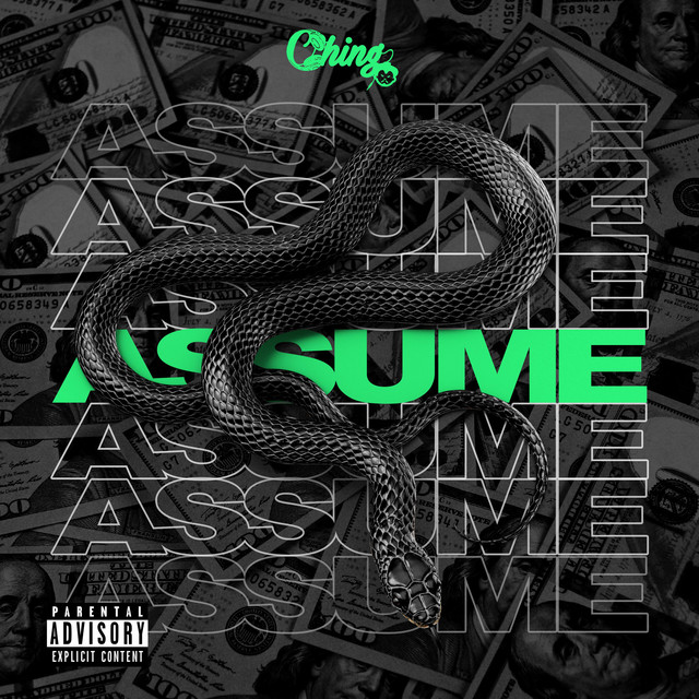 Assume cover art