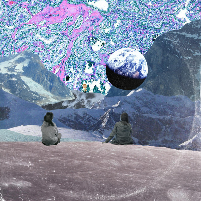 Trippa Snippa