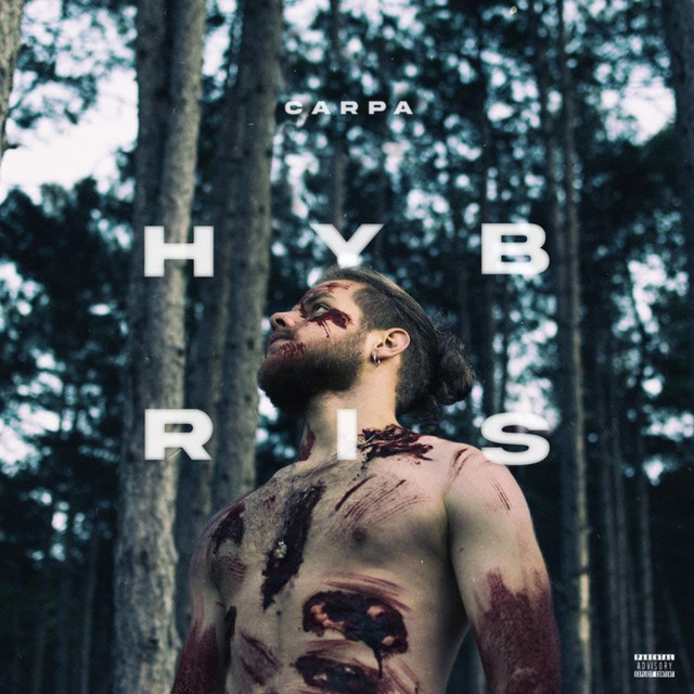 HYBRIS cover art