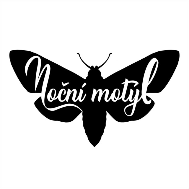 Noční motýl