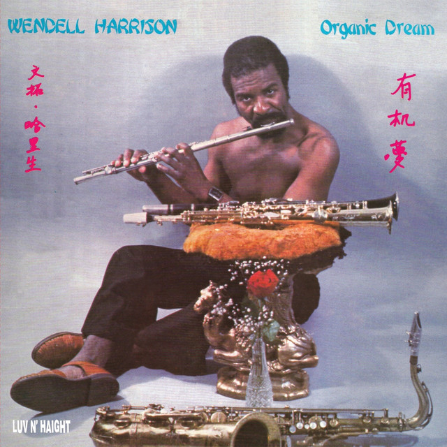 Pochette du titre Peace of Mind