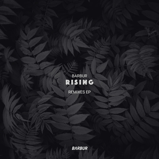 Rising - Ornery Flow Remix album art
