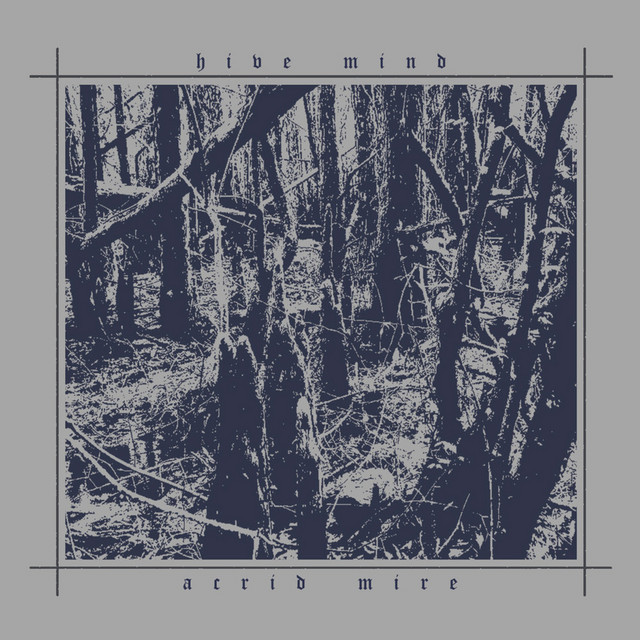 Acrid Mire cover