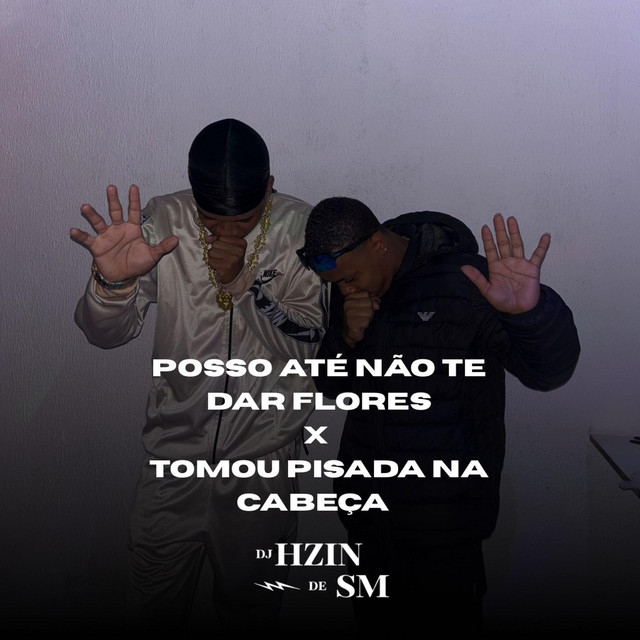 Posso Ate Não Te dar Flores x Tomou Pisada Na Cabeça - BEAT FINO