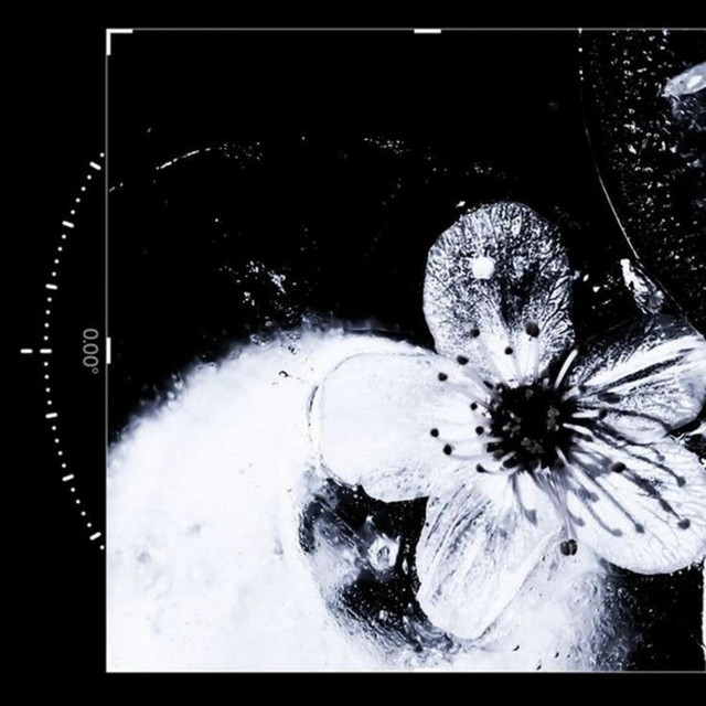 Killer (Slowed) cover art