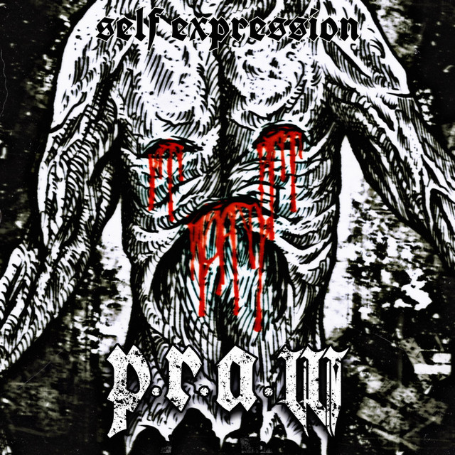 Self Expression cover art