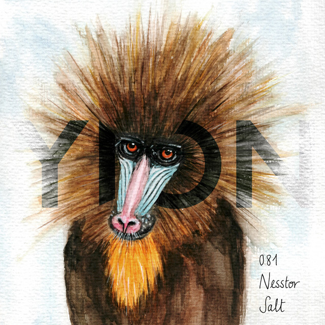 Salt cover art