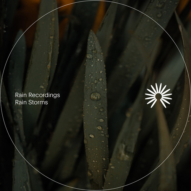 Rain Recordings image