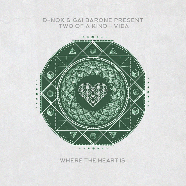Vida album art