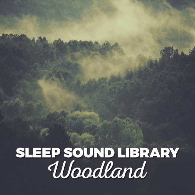 Sleep Sound Library: Woodland cover art