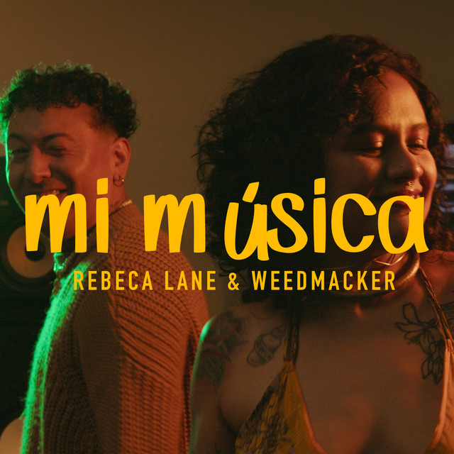 Mi Música album image